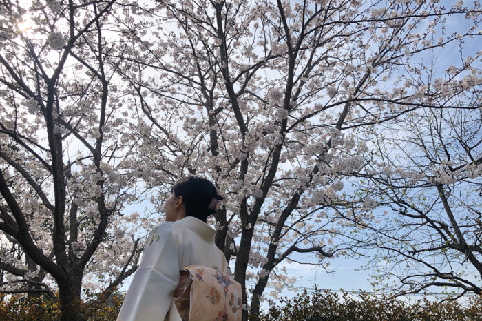 7分咲きの桜の樹の下で