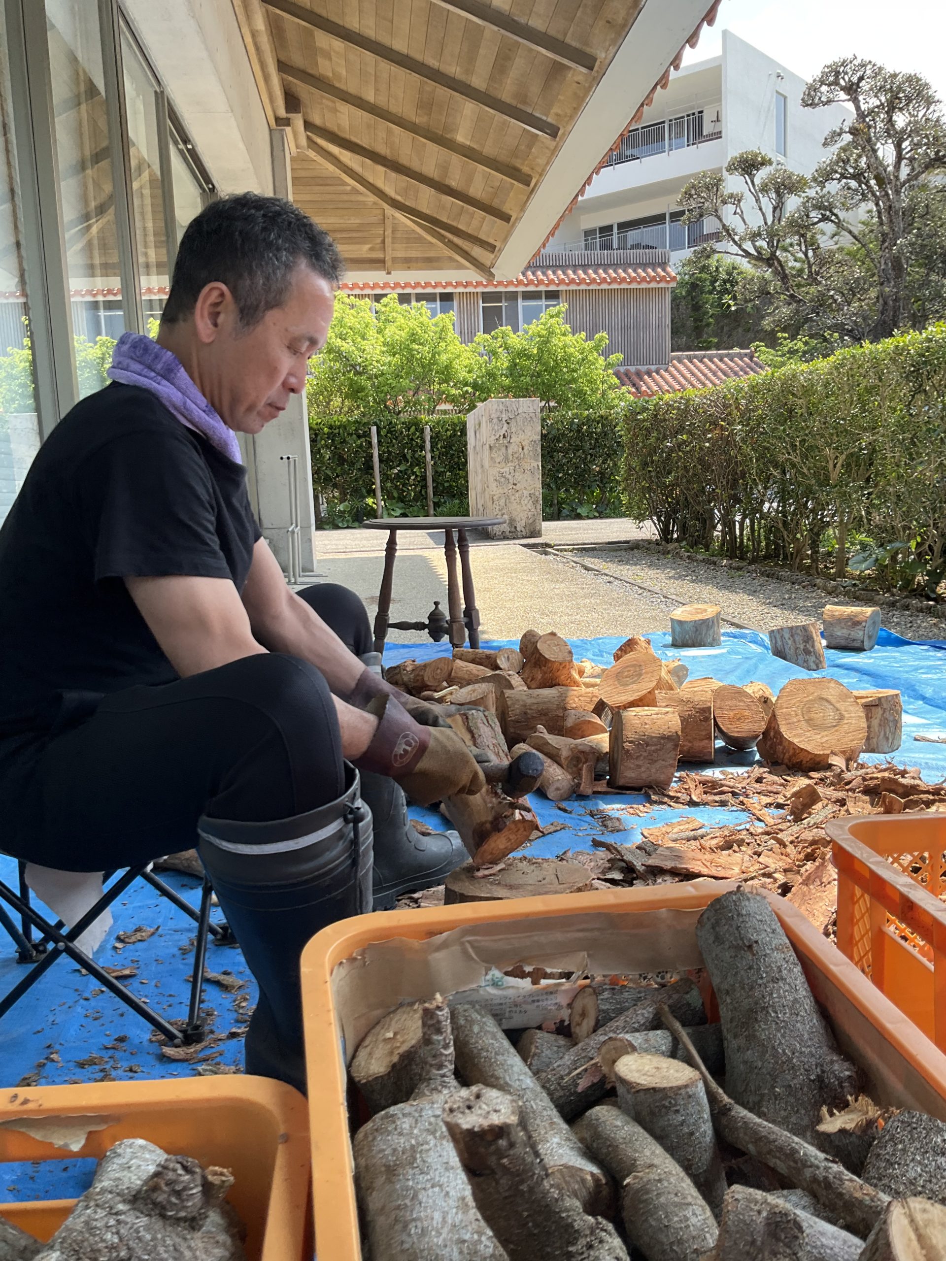 倒木は貴重な原料となって、ふたつとない色が生まれる。工房「真南風」の真骨頂だ